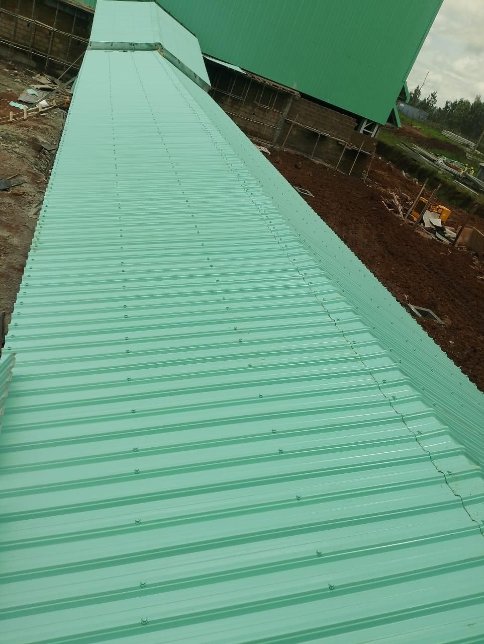 Green Muwi ACT sheets on a roof